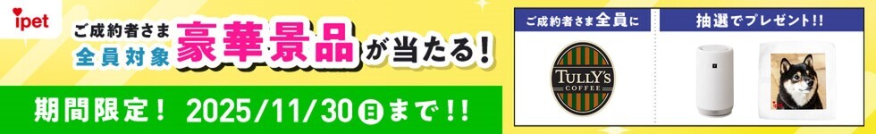 キャンペーン画像