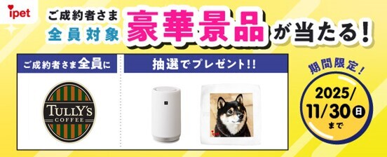 キャンペーン画像