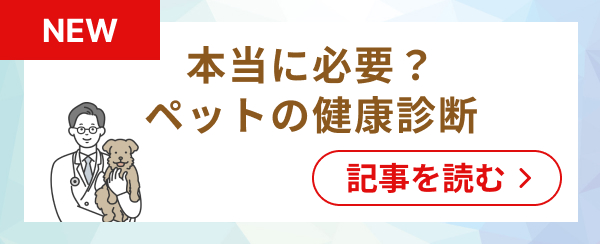 バナー記事画像