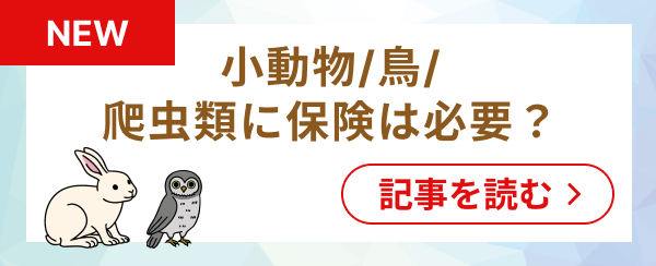 エキゾチックアニマル保険記事へのバナー