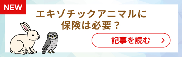 バナー記事画像