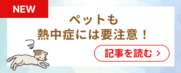 ペットの熱中症対策記事へのバナー
