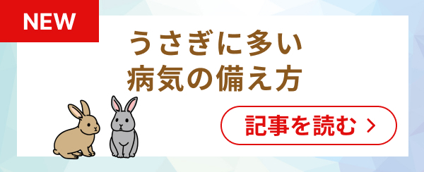 うさぎに多い病気の備え方