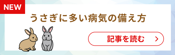 うさぎに多い病気の備え方