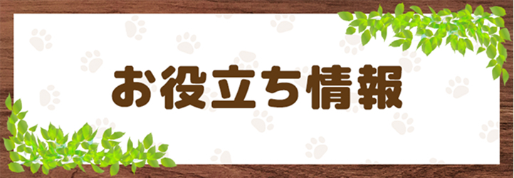 ペット保険の選び方のヒント