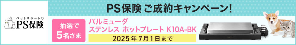 キャンペーン画像