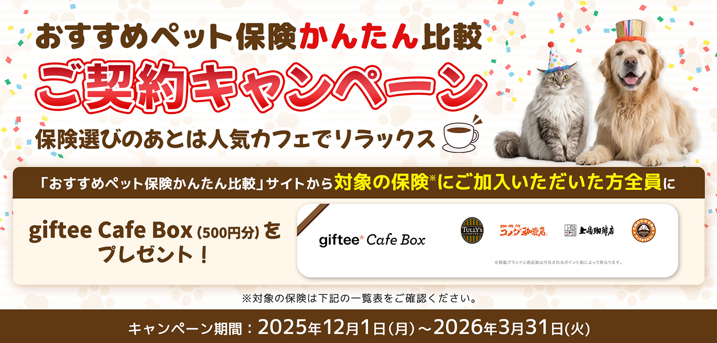 ペット保険の選び方のヒント