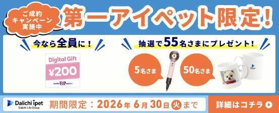 キャンペーン画像