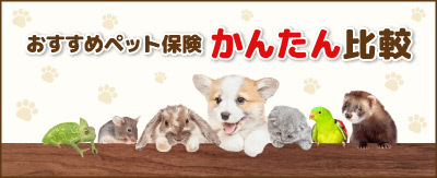 ペット保険比較サイトトップページへのバナー
