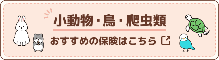 小動物・鳥・爬虫類おすすめの保険はこちら