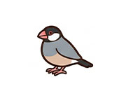 ブンチョウ