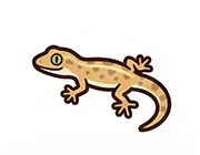 ヤモリ