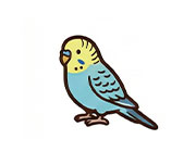 インコ