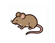 ネズミ