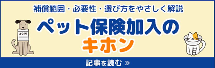 ペットも熱中症には要注意！