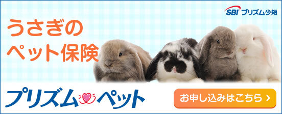 うさぎのペット保険　プリズムペット