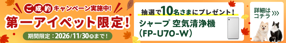 アイペット